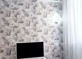 Сдаю в аренду квартиру студию, 28 м2, Новороссийск, улица Красина, 53к3