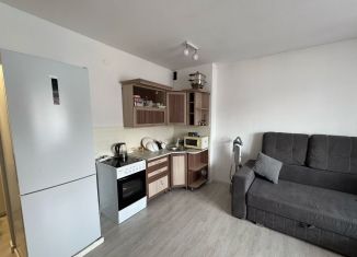 Квартира на продажу студия, 26.9 м2, Республика Алтай, улица Берёзовая Роща