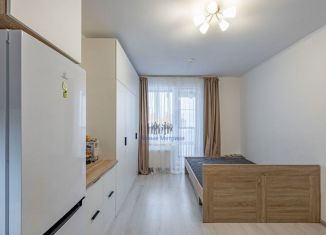 Продажа квартиры студии, 26.6 м2, Санкт-Петербург, муниципальный округ Коломяги, Арцеуловская аллея, 15