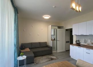 Сдаю в аренду квартиру студию, 26 м2, посёлок Парголово, Михайловская дорога, 14к1