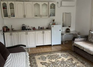 Дом в аренду, 45 м2, поселок городского типа Шамилькала