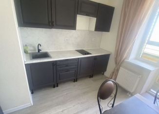 1-ком. квартира на продажу, 31 м2, Санкт-Петербург, муниципальный округ Народный, Русановская улица, 18к6
