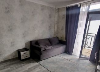 Сдам в аренду квартиру студию, 20 м2, Сочи, Молодогвардейская улица, 2/81, микрорайон Соболевка