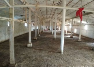 Дом на продажу, 75 м2, село Ботаюрт