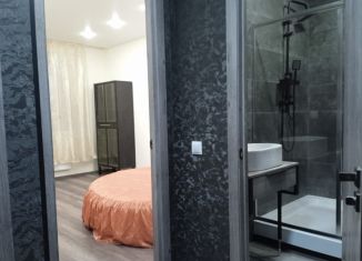 Сдаю 1-комнатную квартиру, 40 м2, Санкт-Петербург, Планерная улица, 95к1, ЖК Нью Тайм