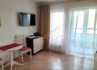Продается квартира студия, 27 м2, Всеволожск, улица Доктора Сотникова, 2