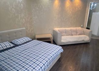 1-ком. квартира в аренду, 44.3 м2, Екатеринбург, улица Циолковского, 27, ЖК Премьер