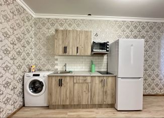 Квартира в аренду студия, 43 м2, Краснодар, Агрономическая улица, 2/5лит2, микрорайон Горхутор