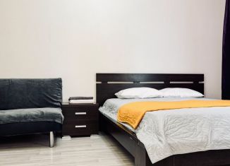 Сдам в аренду квартиру студию, 57 м2, Екатеринбург, улица Циолковского, 29