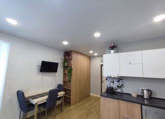Продажа квартиры студии, 25 м2, Сочи, Волжская улица, 16, микрорайон Мамайка