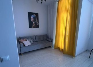 Сдам квартиру студию, 24.2 м2, Ленинградская область, Ручьёвский проспект, 17к1