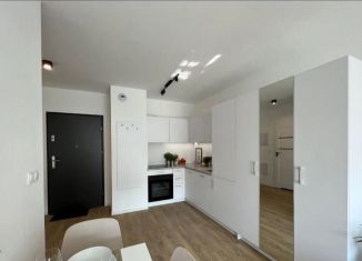 Продажа 1-ком. квартиры, 32.6 м2, Санкт-Петербург, муниципальный округ Народный, Русановская улица, 20к3