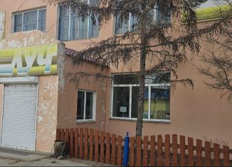 Продается торговая площадь, 309.4 м2, село Дульдурга, улица Лазо, 28А