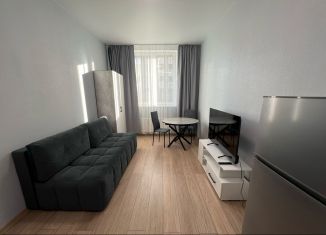 Сдается в аренду квартира студия, 25 м2, Екатеринбург, улица Новостроя, 7