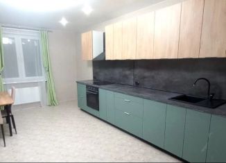 Сдается в аренду 2-ком. квартира, 70 м2, посёлок Парголово, Тихоокеанская улица, 1к2