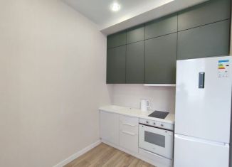 Продажа квартиры студии, 25 м2, село Краевско-Армянское, Измайловская улица, 20А