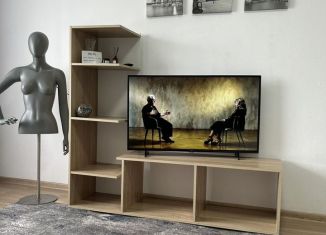 Сдается 1-комнатная квартира, 31 м2, Екатеринбург, улица Челюскинцев, 110, метро Динамо