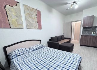 Сдача в аренду квартиры студии, 33.6 м2, Екатеринбург, улица Чайковского, 66А