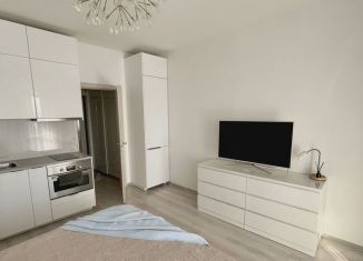 Продаю квартиру студию, 24.6 м2, Санкт-Петербург, Кузнецовская улица, 58к1, муниципальный округ Гагаринское