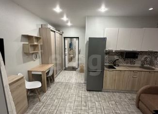 Сдам квартиру студию, 20.7 м2, Сыктывкар, улица Домны Каликовой, 60
