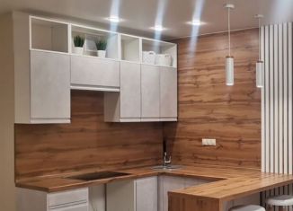 Продается 1-ком. квартира, 55.4 м2, посёлок Знаменский, Природная улица, 10Б