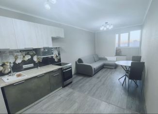 Продаю квартиру студию, 25 м2, Мурино, Воронцовский бульвар, 17, ЖК Алфавит