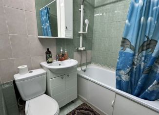 Сдам в аренду 1-ком. квартиру, 43 м2, Екатеринбург, Невьянский переулок, 1, метро Динамо