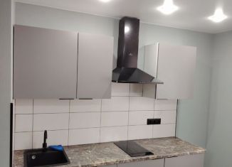 Квартира в аренду студия, 25 м2, городской посёлок Новоселье, Петропавловская улица, 13