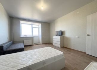 Сдаю в аренду 2-комнатную квартиру, 60 м2, Пермь, Сокольская улица, 10Б