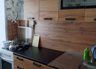 Сдача в аренду 1-ком. квартиры, 25 м2, Курганская область, улица Ленина, 42