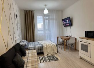 Сдача в аренду квартиры студии, 32.8 м2, Екатеринбург, улица Чайковского, 66А