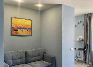 Сдача в аренду 1-комнатной квартиры, 42 м2, Татарстан, улица Островского, 37/5