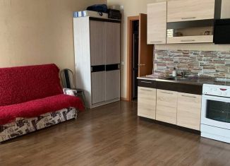 Сдаю в аренду квартиру студию, 29 м2, посёлок Парголово, Толубеевский проезд, 18к1