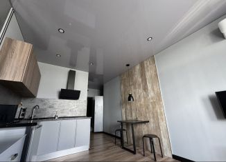 Квартира в аренду студия, 29 м2, Краснодар, улица им. Героя Яцкова И.В., 19к3, микрорайон Губернский