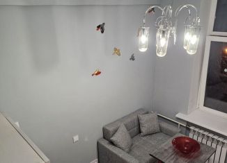 Сдаю квартиру студию, 20 м2, Москва, Нижняя Первомайская улица, 47, район Восточное Измайлово