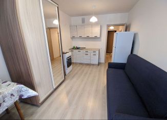 Квартира в аренду студия, 21 м2, Екатеринбург, Латвийская улица, 56/3