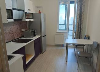 Аренда квартиры студии, 32 м2, посёлок Шушары, Старорусский проспект, 5к1