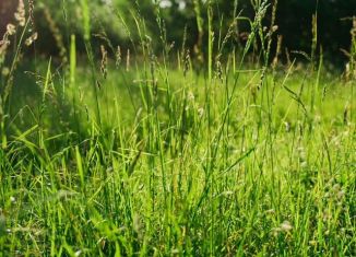 Продается участок, 20.9 сот., посёлок Тярлево, Нововестинская улица