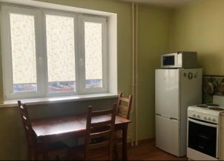 Сдается однокомнатная квартира, 40 м2, посёлок Парголово, улица Фёдора Абрамова, 8