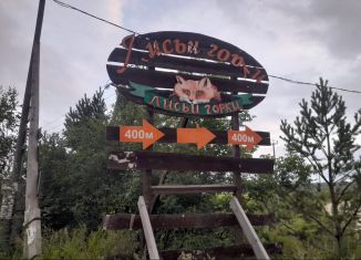 Продается участок, 10 сот., деревня Гусева, Берёзовая улица