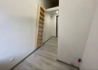 Продается квартира студия, 11.5 м2, Санкт-Петербург, Гороховая улица, 44, метро Сенная площадь
