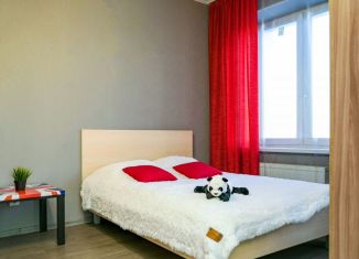 Сдается в аренду квартира студия, 55 м2, Екатеринбург, улица Циолковского, 29