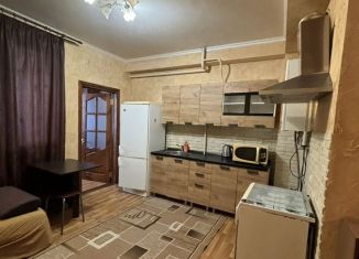 Аренда двухкомнатной квартиры, 40 м2, Сочи, улица Гончарова, 6/4, микрорайон Донская