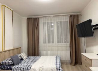 Сдаю квартиру студию, 32.9 м2, Екатеринбург, улица Чапаева, 79