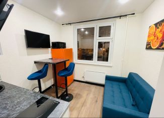 Квартира в аренду студия, 22 м2, Москва, Рождественская улица, 18, ЮВАО