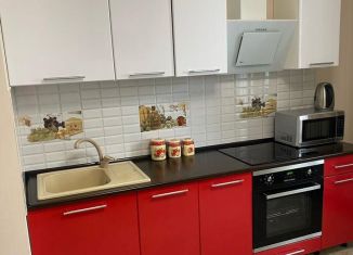 Сдам 2-ком. квартиру, 55 м2, Ростов-на-Дону, улица Ерёменко, 98