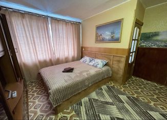 Однокомнатная квартира в аренду, 30 м2, Дзержинск, проспект Чкалова, 51
