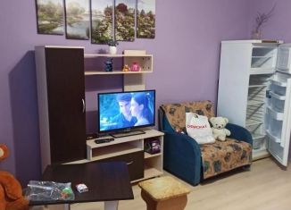 Продажа квартиры студии, 26.5 м2, Ленинградская область, Центральная улица, 15