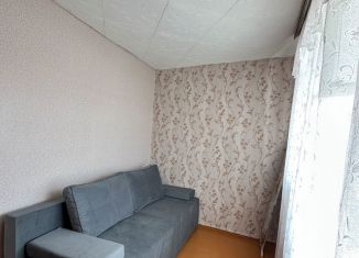 Сдаю в аренду 1-комнатную квартиру, 30 м2, Татарстан, улица Химиков, 33