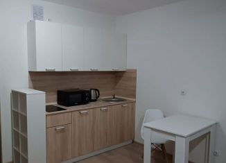 Сдается квартира студия, 28 м2, Екатеринбург, улица Чемпионов, 15